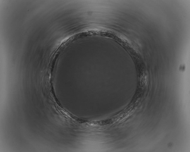 X0000097850822200803281246