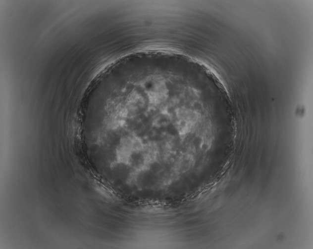 X0000097850823200803281246