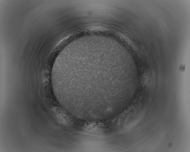 X0000097850824200803281246