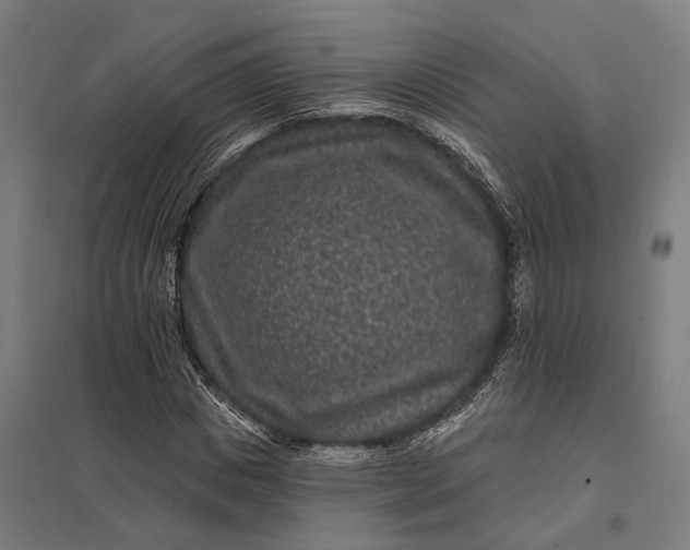 X0000097850825200803281246