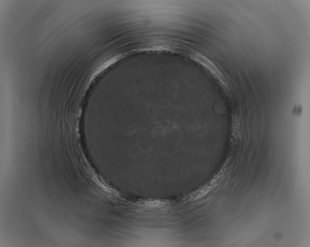 X0000097850826200803281246