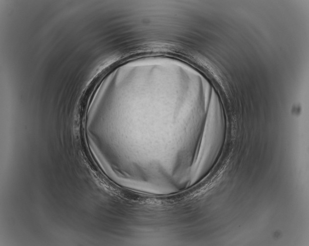 X0000097850827200803281246