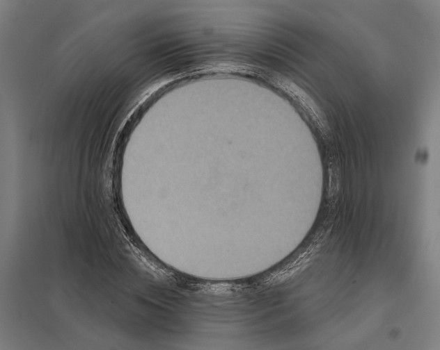 X0000097850828200803281246