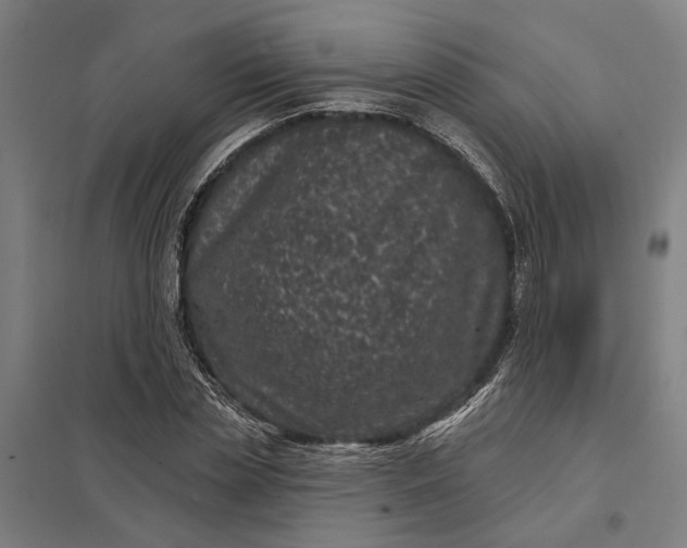 X0000097850829200803281246