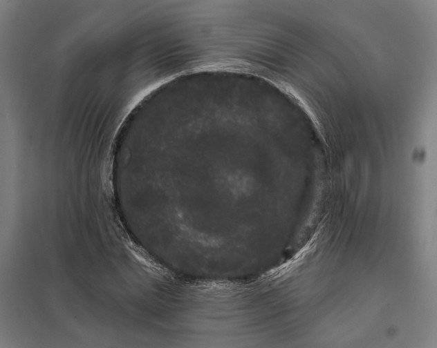 X0000097850830200803281246