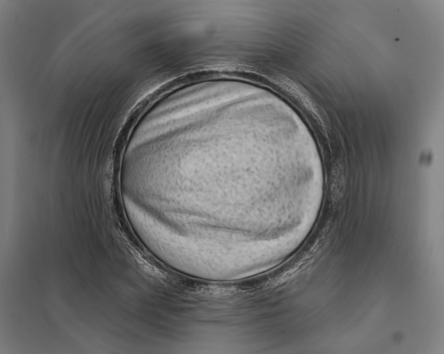 X0000097850831200803281246