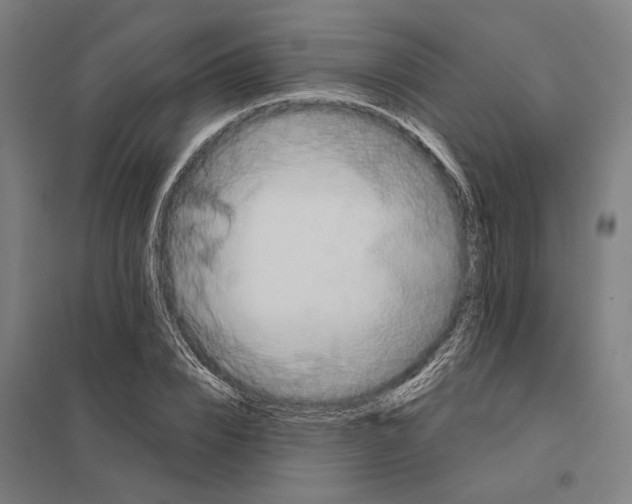 X0000097850832200803281246