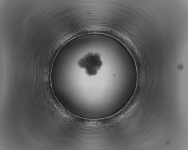 X0000097850833200803281246