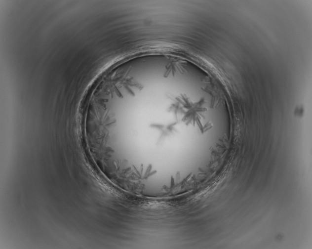 X0000097850835200803281246