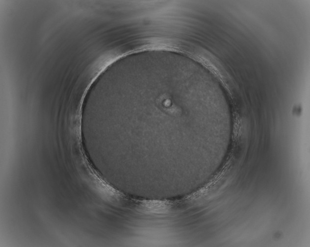 X0000097850836200803281246