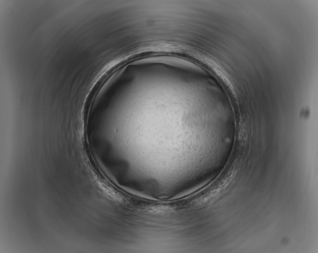 X0000097850837200803281246