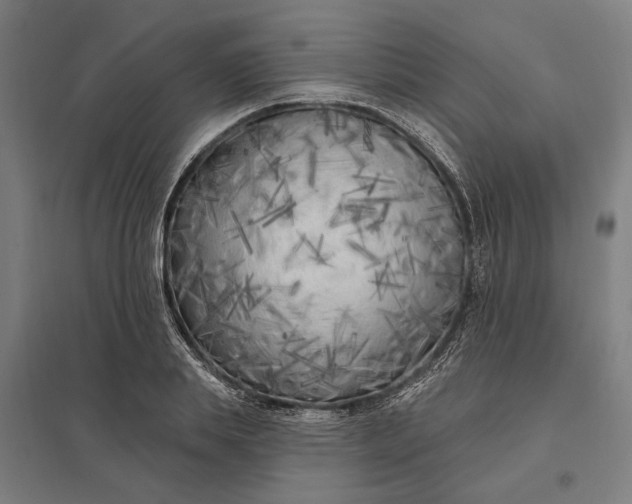 X0000097850839200803281246