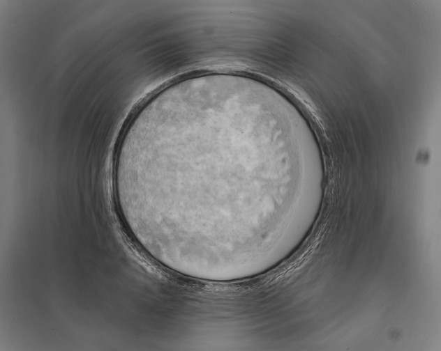 X0000097850840200803281246