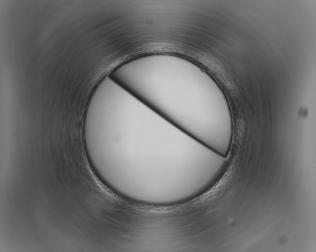 X0000097850841200803281246