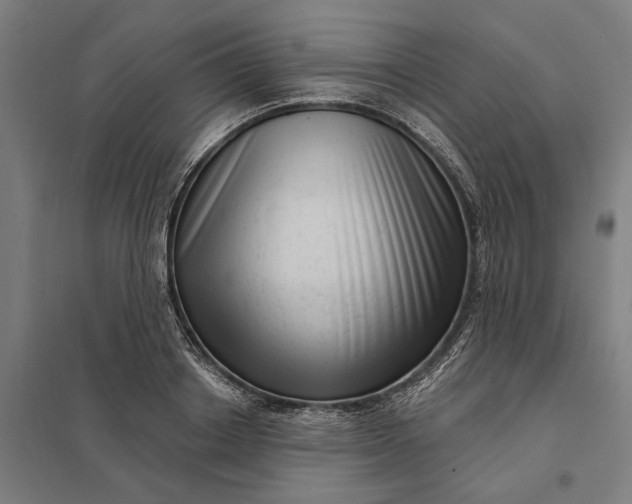 X0000097850842200803281246