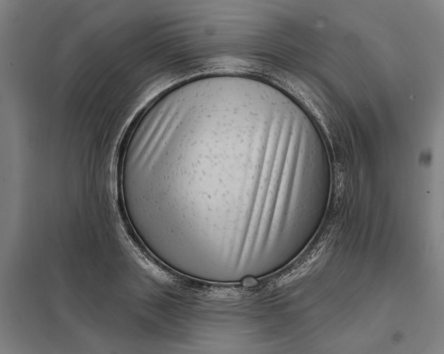 X0000097850843200803281246