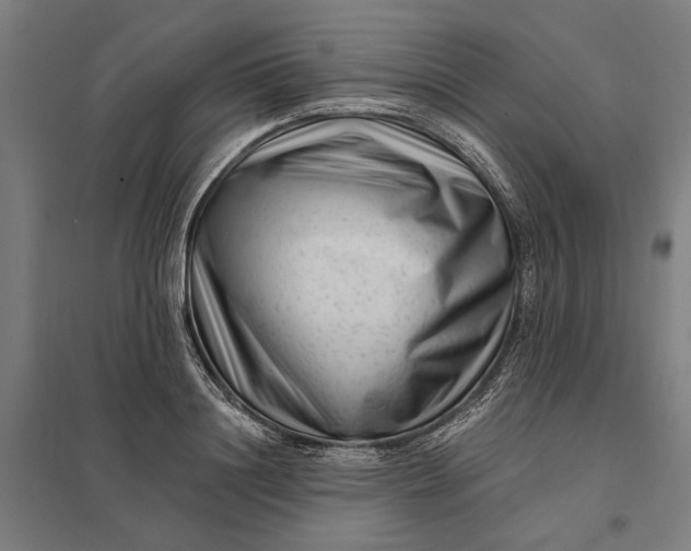 X0000097850844200803281246