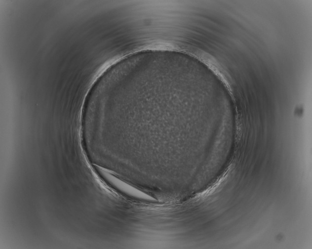 X0000097850845200803281246