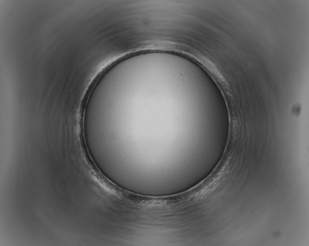 X0000097850846200803281246