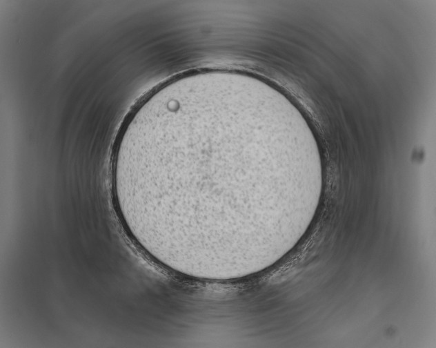 X0000097850848200803281246