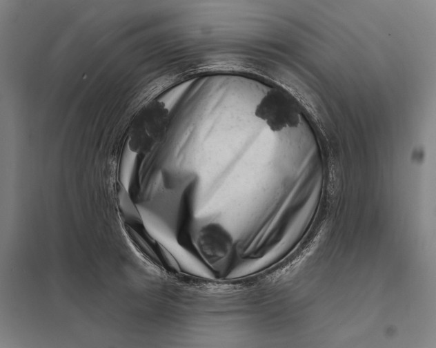 X0000097850849200803281246