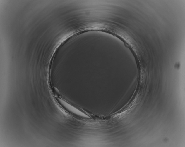 X0000097850850200803281246