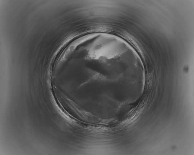 X0000097850851200803281246