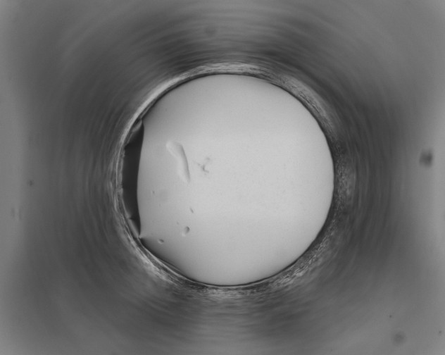 X0000097850852200803281246