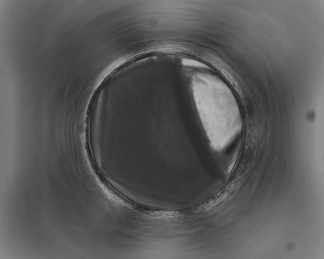 X0000097850853200803281246