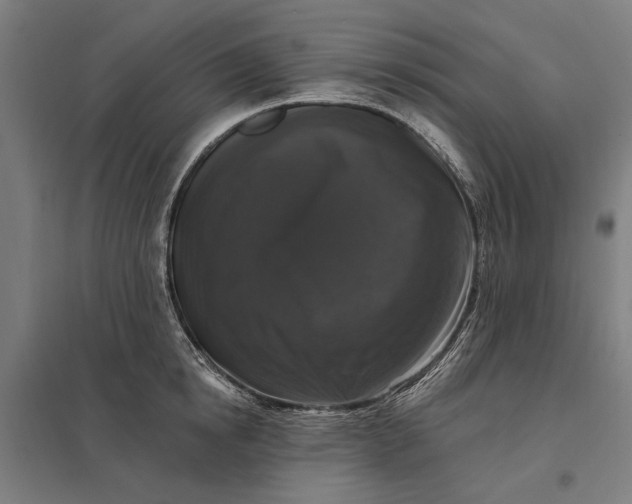 X0000097850854200803281247