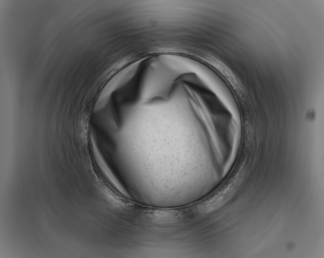 X0000097850857200803281247