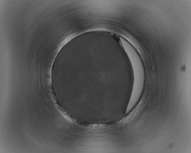 X0000097850858200803281247