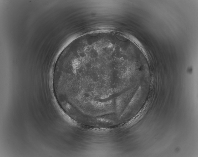 X0000097850859200803281247