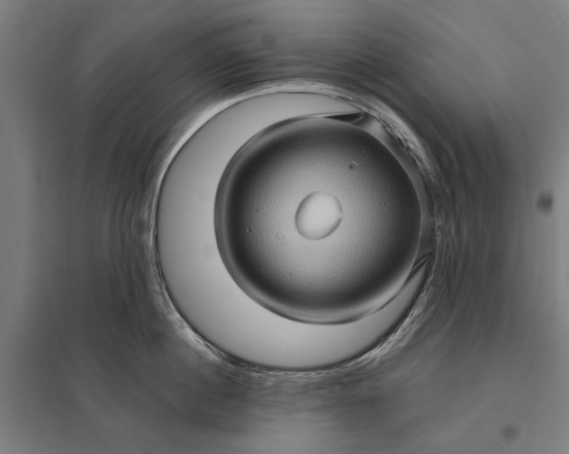 X0000097850860200803281247