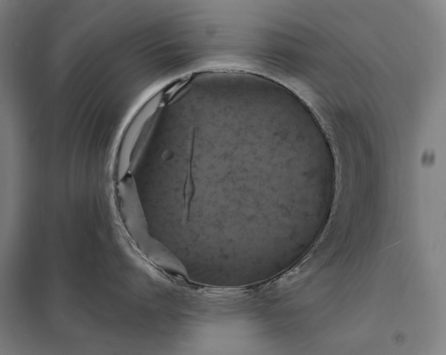 X0000097850864200803281247