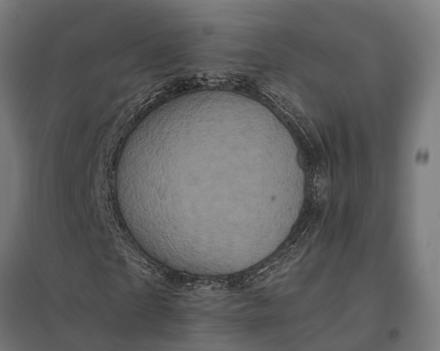 X0000097850865200803281246