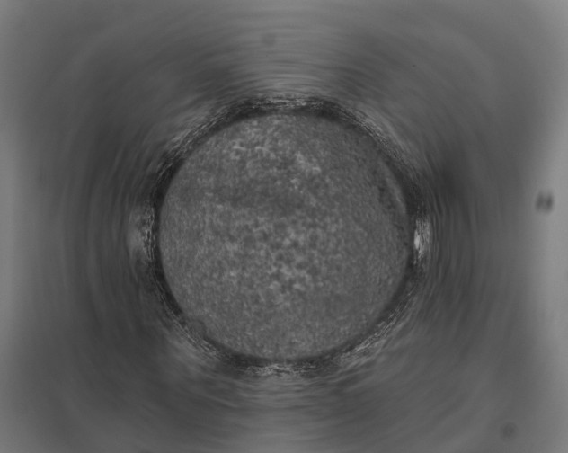 X0000097850867200803281246