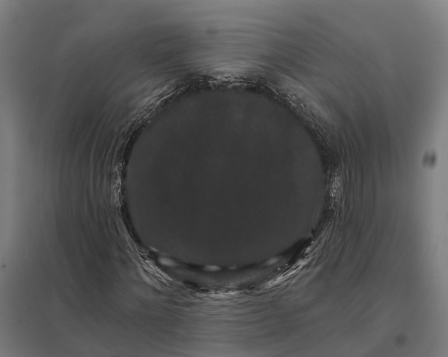 X0000097850868200803281246