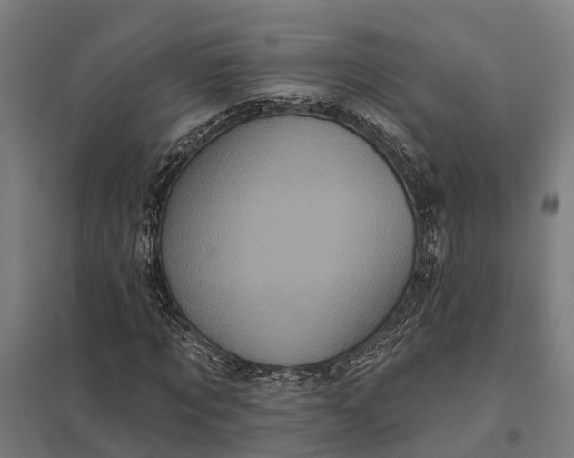 X0000097850869200803281246