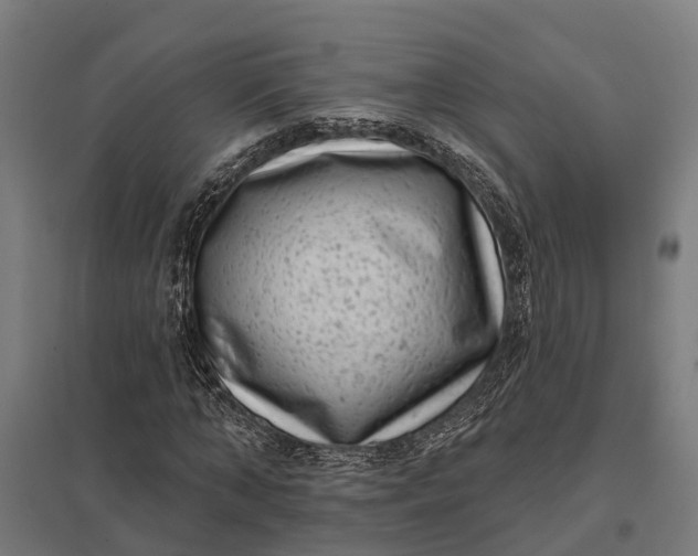 X0000097850870200803281246