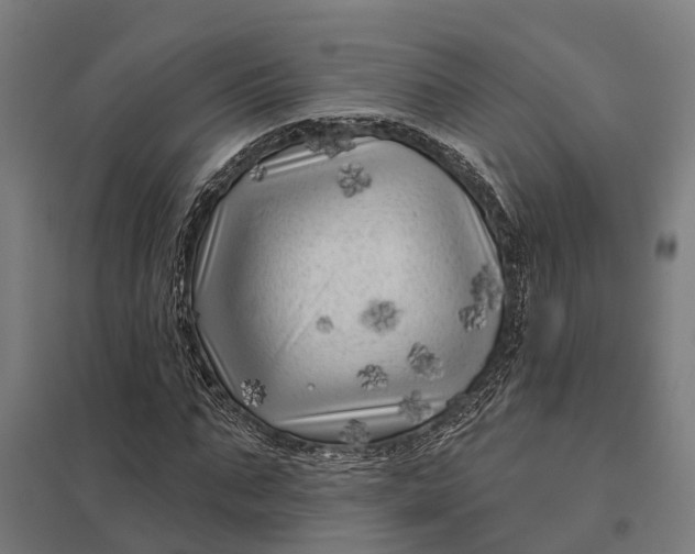 X0000097850871200803281246