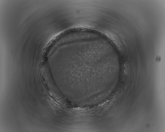 X0000097850872200803281246