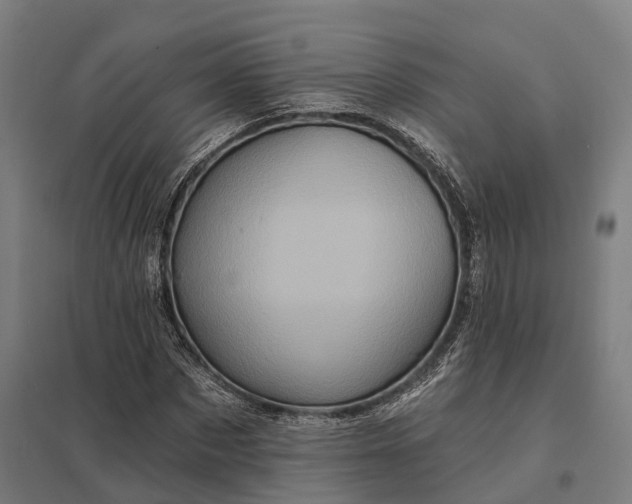 X0000097850873200803281246