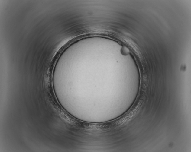 X0000097850875200803281246