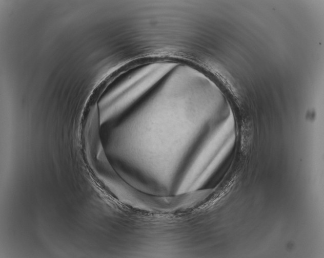 X0000097850876200803281246