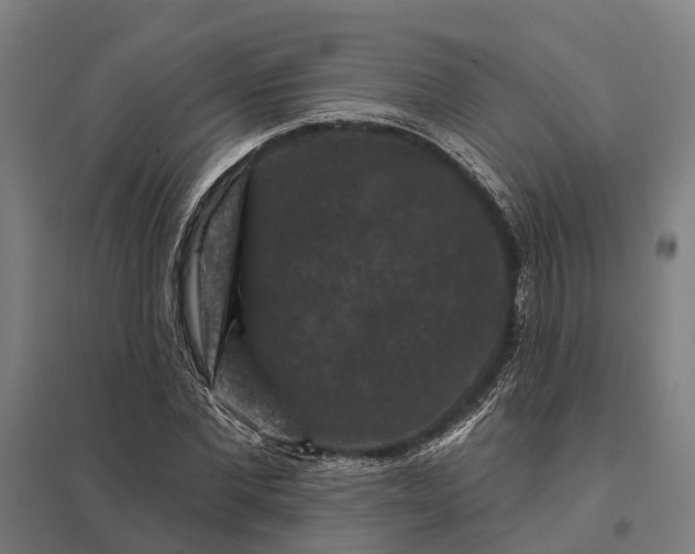 X0000097850877200803281246