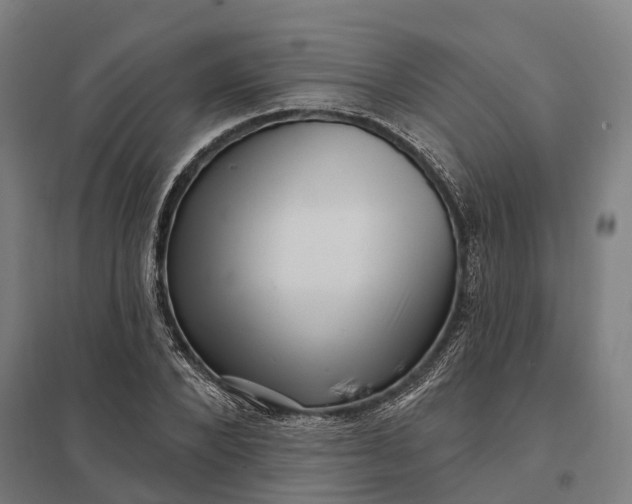 X0000097850880200803281246