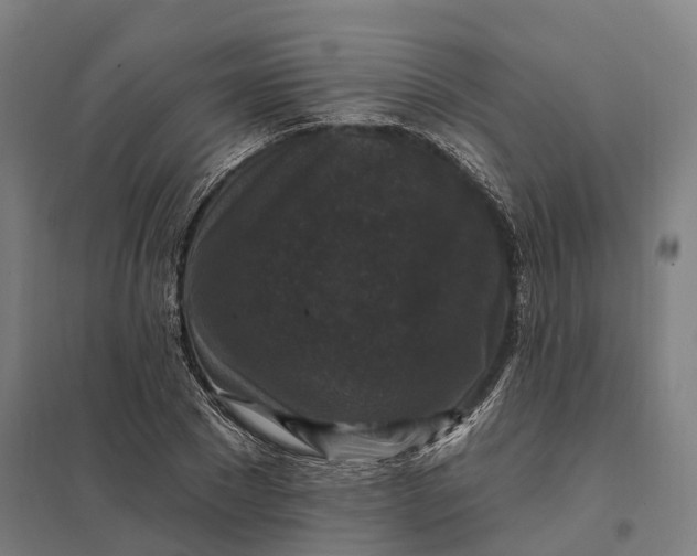 X0000097850881200803281246