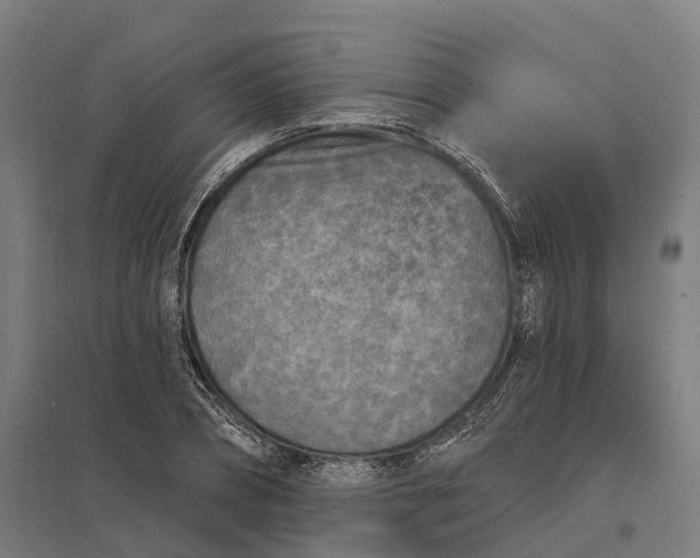 X0000097850882200803281246