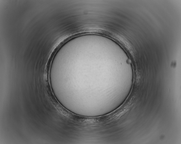 X0000097850883200803281246